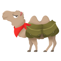 Camel